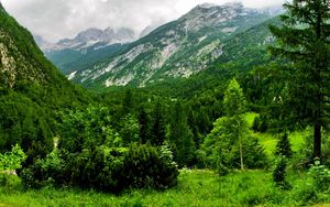 Preview wallpaper slovenia, mountains, wood, trees, cloudy