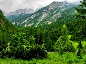 Preview wallpaper slovenia, mountains, wood, trees, cloudy