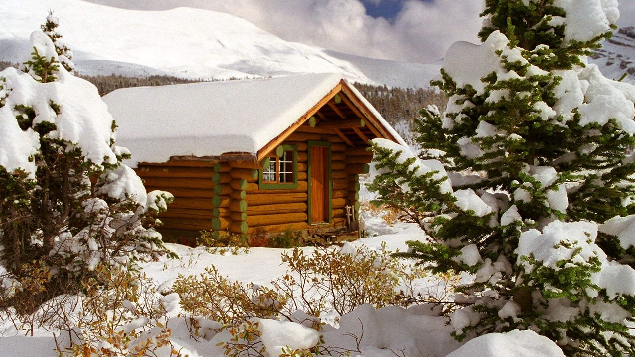 Wallpaper small house, snow, trees, canada, british columbia, bushes, fur-tree
