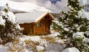 Preview wallpaper small house, snow, trees, canada, british columbia, bushes, fur-tree