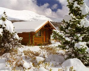 Preview wallpaper small house, snow, trees, canada, british columbia, bushes, fur-tree