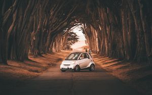 Preview wallpaper smart fortwo, car, road, trees