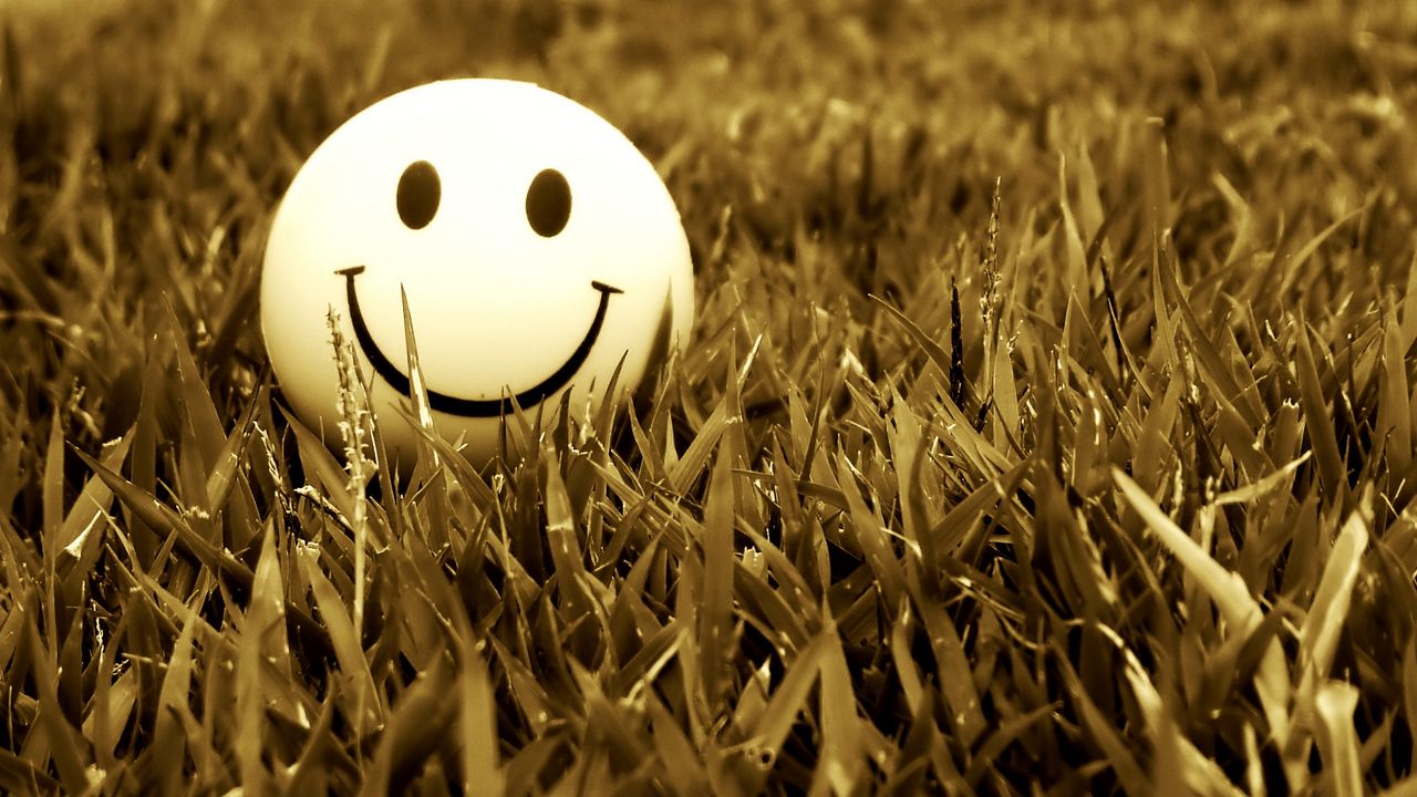 Wallpaper smile, grass, mood