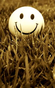 Preview wallpaper smile, grass, mood