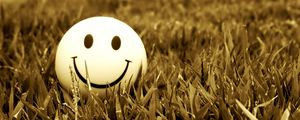 Preview wallpaper smile, grass, mood