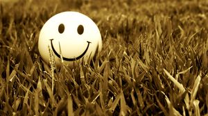 Preview wallpaper smile, grass, mood