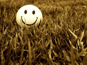 Preview wallpaper smile, grass, mood