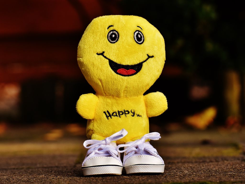 1024x768 Wallpaper smile, happiness, toy