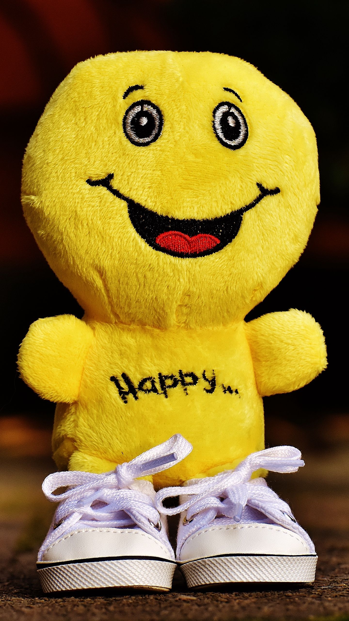 1440x2560 Wallpaper smile, happiness, toy