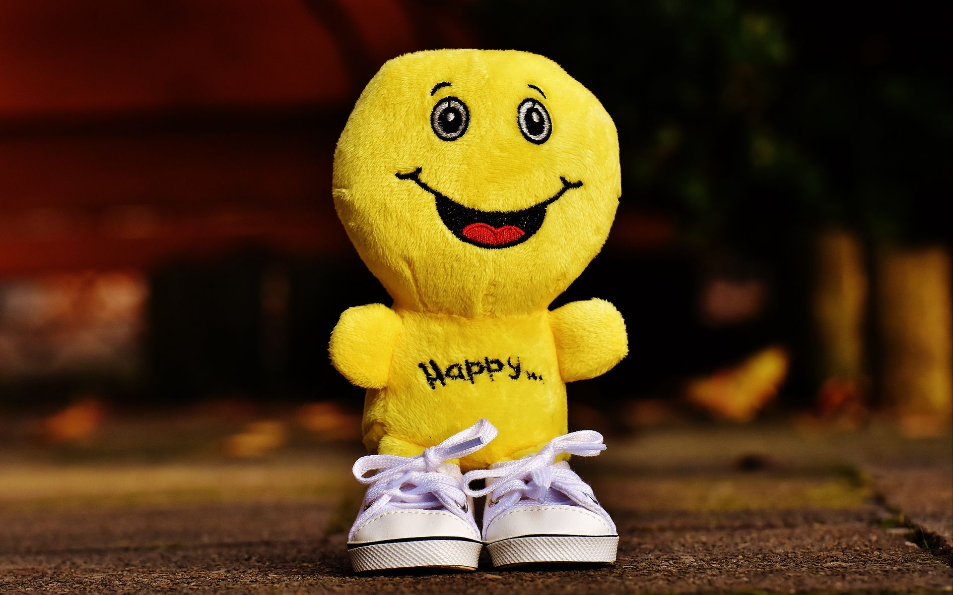 1920x1200 Wallpaper smile, happiness, toy