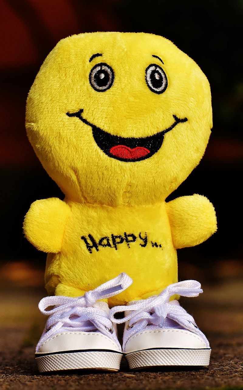 800x1280 Wallpaper smile, happiness, toy