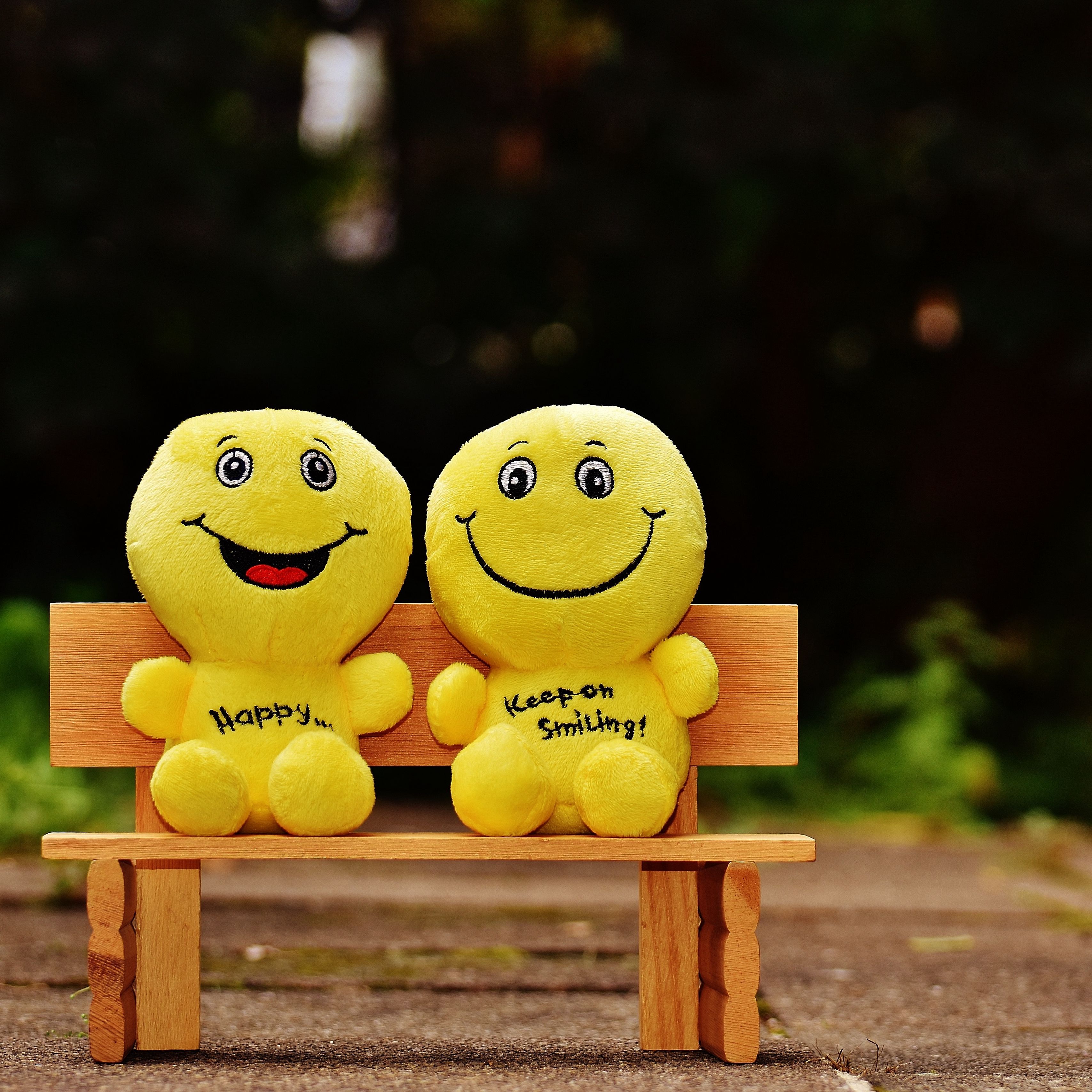 3415x3415 Wallpaper smiles, happy, cheerful, smile, bench, cute