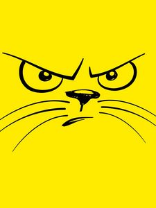 Preview wallpaper smiley, cat, angry, displeased