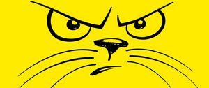 Preview wallpaper smiley, cat, angry, displeased