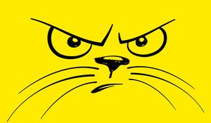 Preview wallpaper smiley, cat, angry, displeased