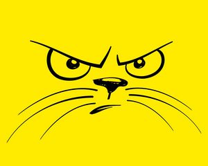 Preview wallpaper smiley, cat, angry, displeased