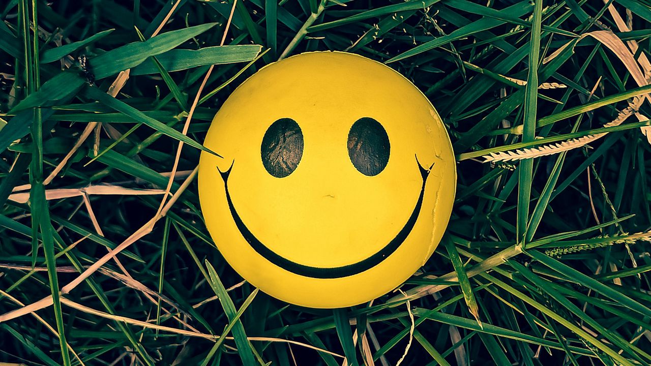 Wallpaper smiley, smile, grass, yellow