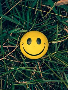 Smiley old mobile, cell phone, smartphone wallpapers hd, desktop  backgrounds 240x320, images and pictures