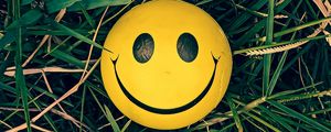 Preview wallpaper smiley, smile, grass, yellow