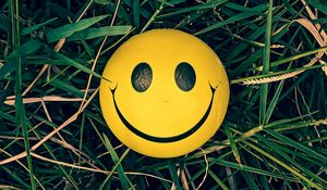 Preview wallpaper smiley, smile, grass, yellow