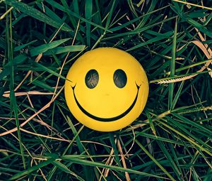 Preview wallpaper smiley, smile, grass, yellow