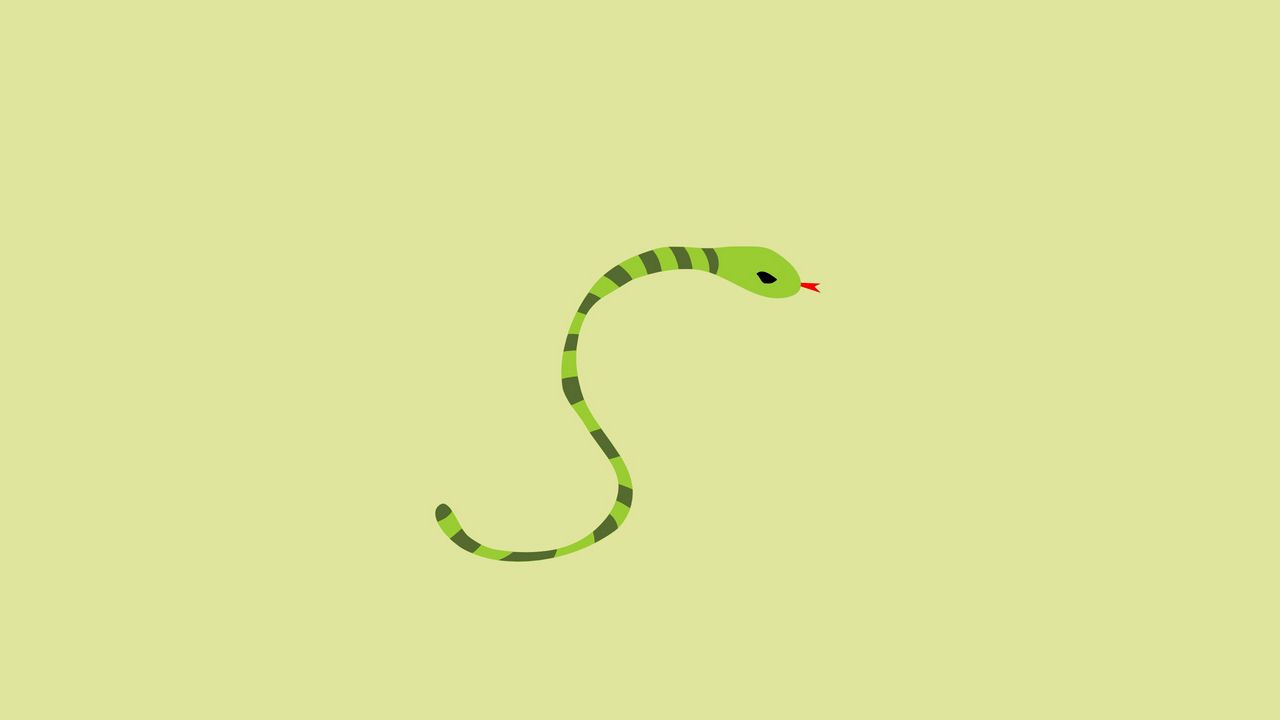 Wallpaper snake, minimalism, background, line