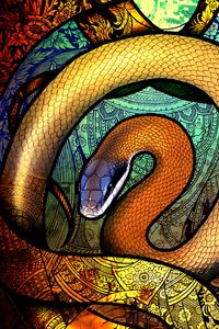 Preview wallpaper snake, patterns, colorful, art