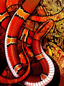 Preview wallpaper snake, scales, ornament, pattern