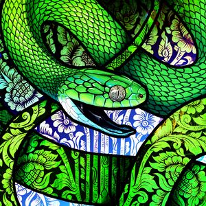 Green Snake 4K Wallpaper | HD Wallpapers