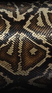 Preview wallpaper snake, scales, patterns, texture