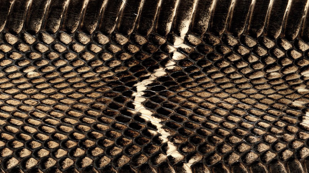 Wallpaper snake, texture, background, wire, mesh, leather