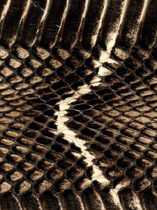 Preview wallpaper snake, texture, background, wire, mesh, leather