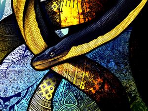 Preview wallpaper snake, winding, patterns, art