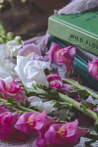 Preview wallpaper snapdragon, flowers, books, newspaper