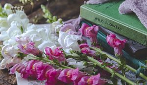 Preview wallpaper snapdragon, flowers, books, newspaper