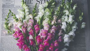 Preview wallpaper snapdragon, flowers, bouquet, newspaper