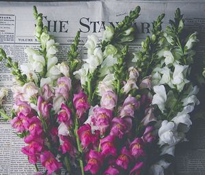 Preview wallpaper snapdragon, flowers, bouquet, newspaper