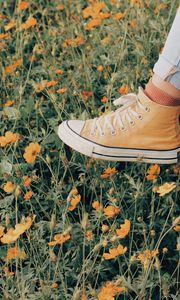 Preview wallpaper sneakers, flowers, walk, summer