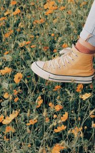 Preview wallpaper sneakers, flowers, walk, summer