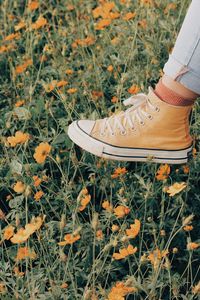 Preview wallpaper sneakers, flowers, walk, summer