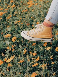 Preview wallpaper sneakers, flowers, walk, summer