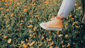 Preview wallpaper sneakers, flowers, walk, summer