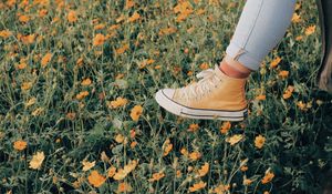 Preview wallpaper sneakers, flowers, walk, summer