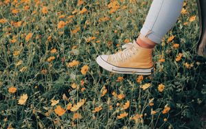 Preview wallpaper sneakers, flowers, walk, summer