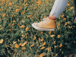 Preview wallpaper sneakers, flowers, walk, summer