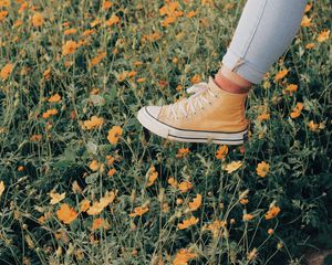 Preview wallpaper sneakers, flowers, walk, summer