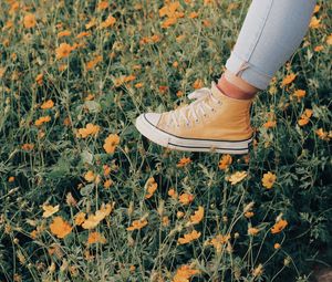 Preview wallpaper sneakers, flowers, walk, summer