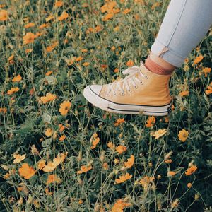 Preview wallpaper sneakers, flowers, walk, summer