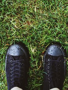 Preview wallpaper sneakers, grass, drops, dew