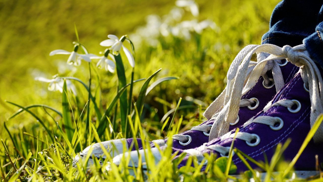 Wallpaper sneakers, grass, flowers, legs